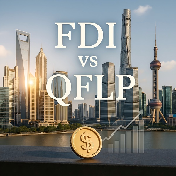 FDI和QFLP