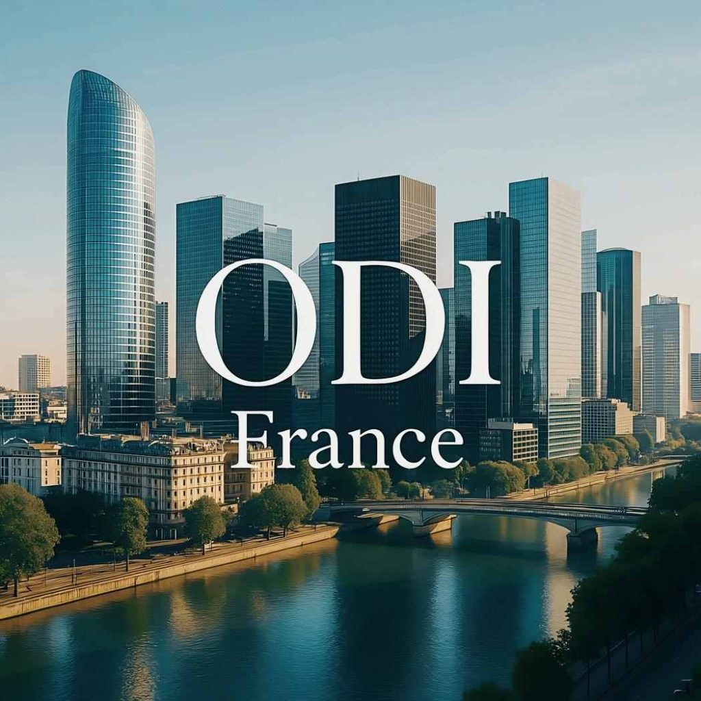 境外投资（ODI）法国