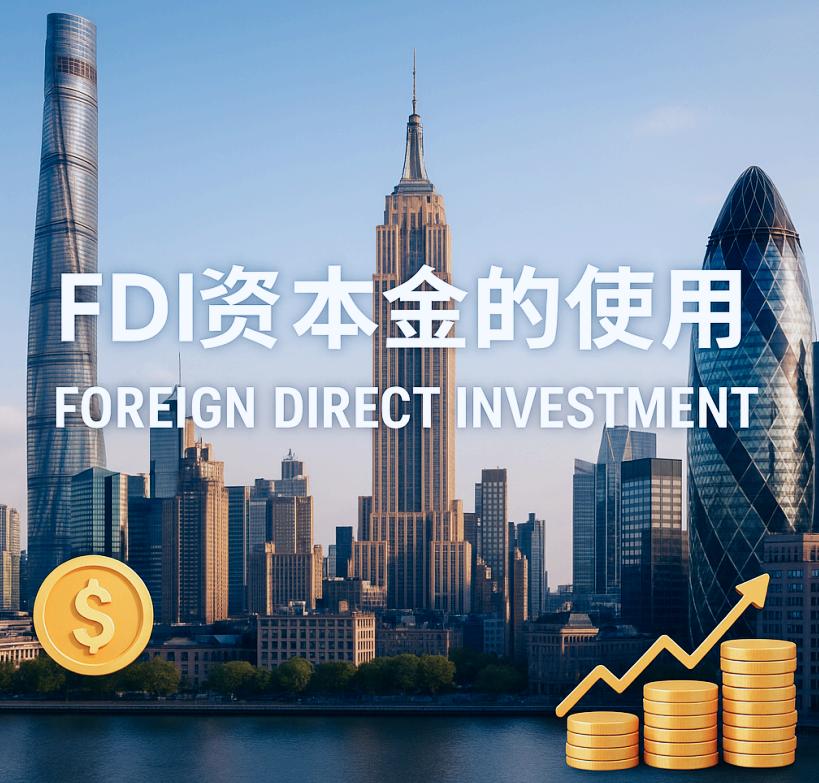 FDI资本金