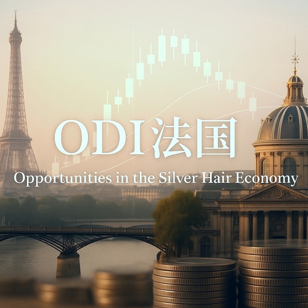 境外投资（ODI）法国
