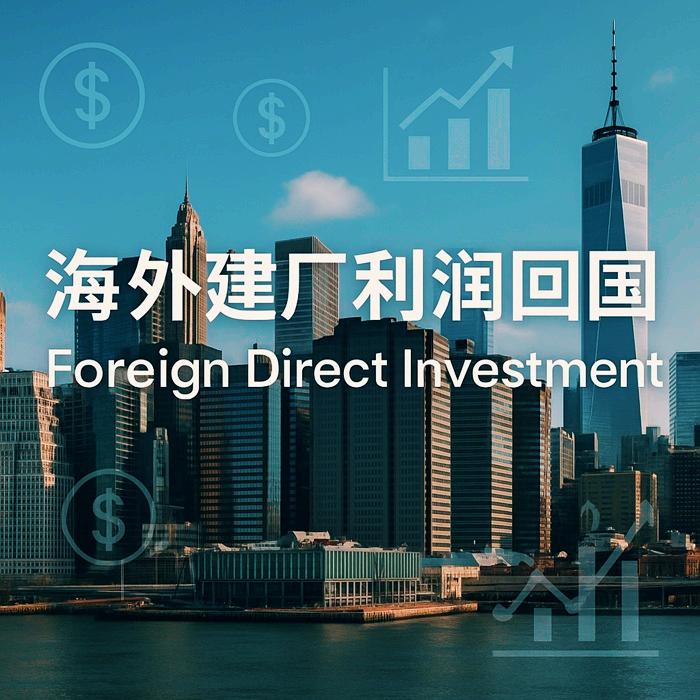 FDI备案