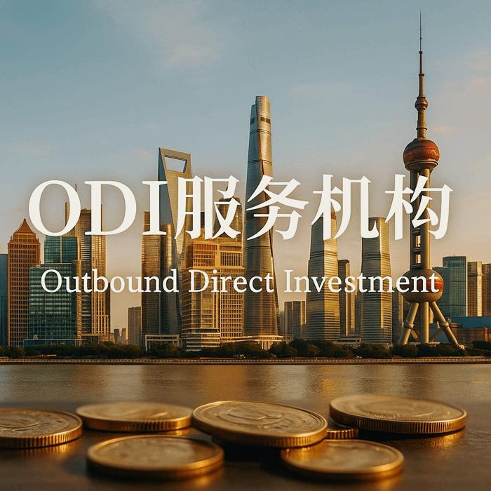 ODI服务机构