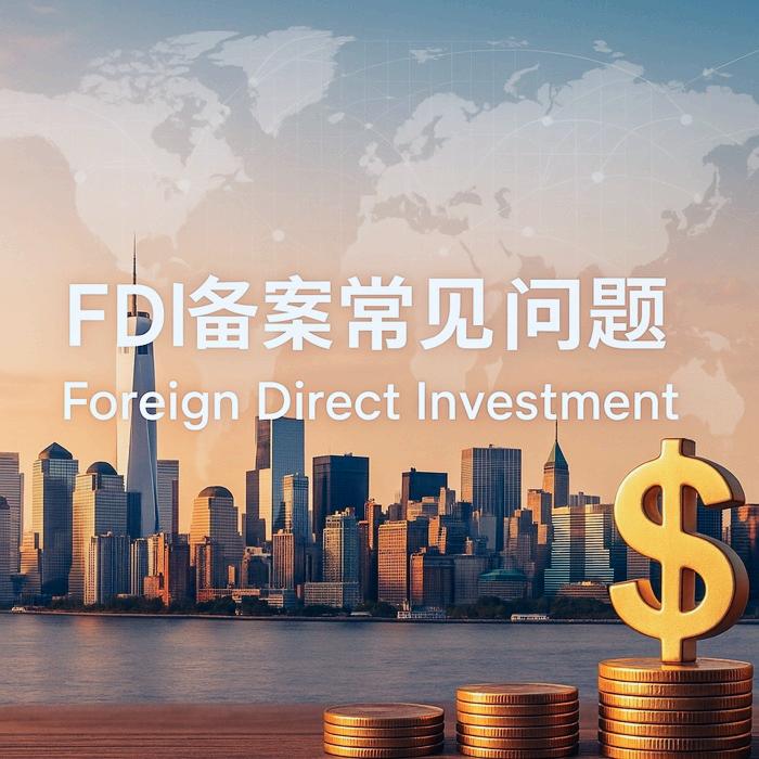 FDI备案