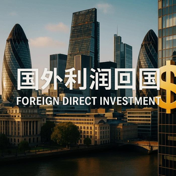 FDI备案