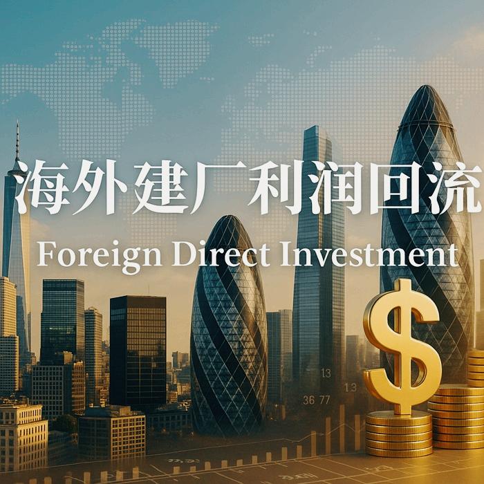 FDI备案